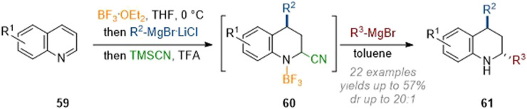 Scheme 19