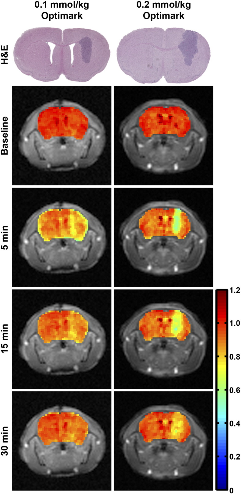 Figure 3