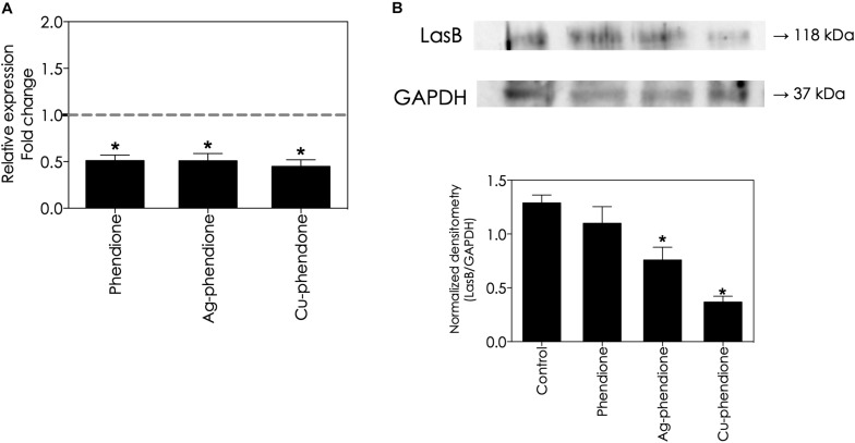 FIGURE 4