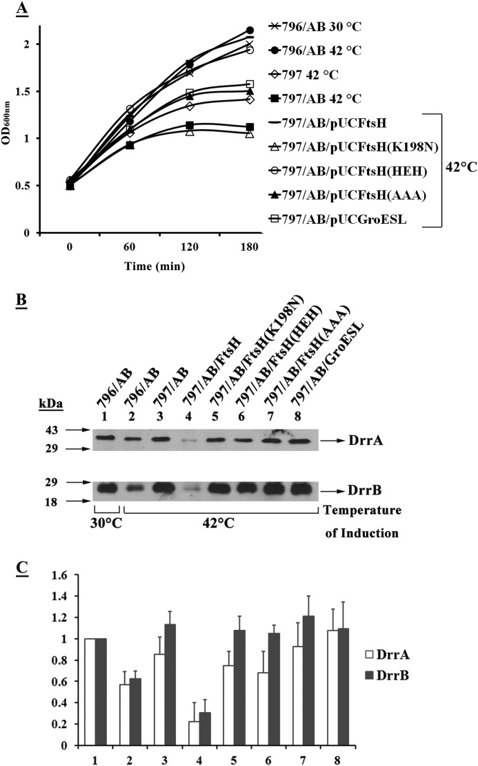 FIGURE 7.