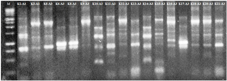 FIGURE 1: