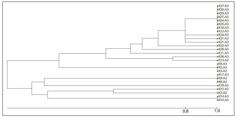 FIGURE 2: