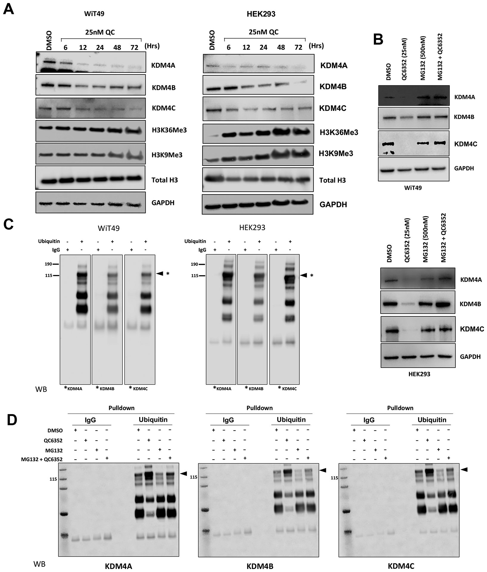 Fig.6: