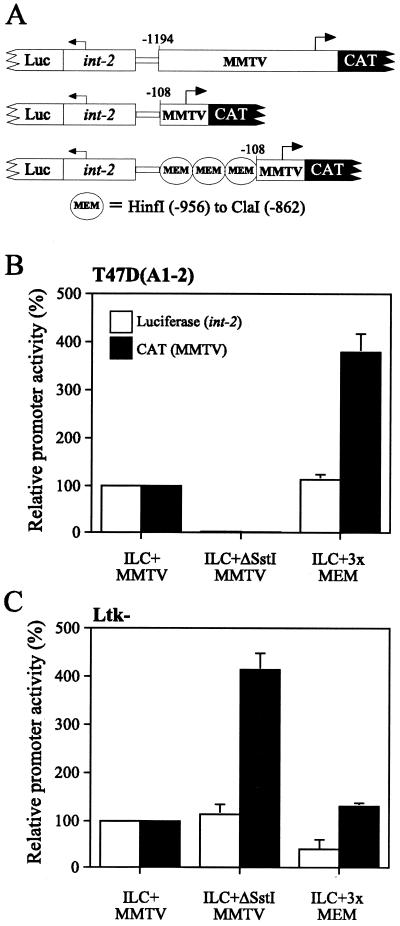 FIG. 6