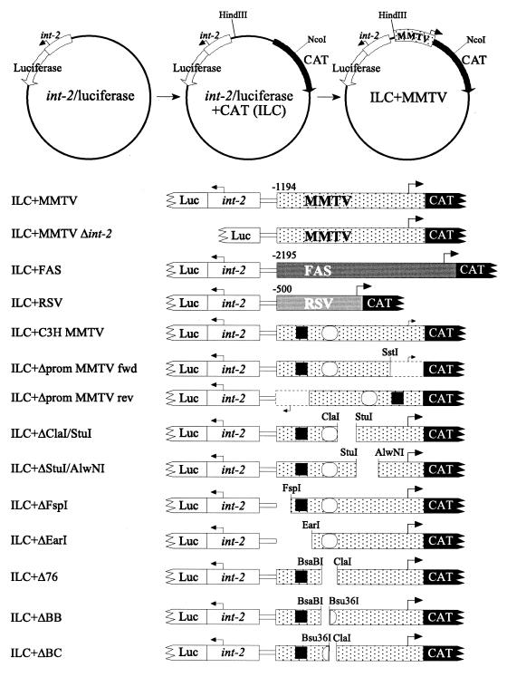 FIG. 1