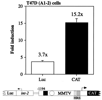 FIG. 7
