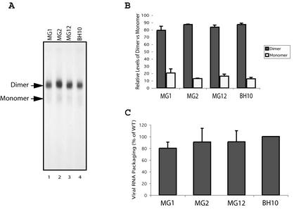 FIG. 9.