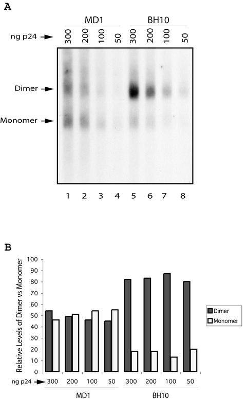 FIG. 5.