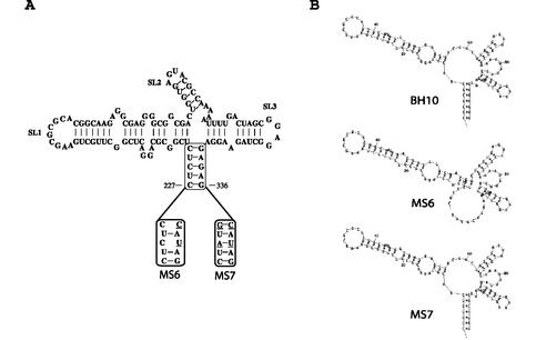 FIG. 7.