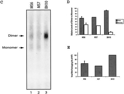 FIG. 7.