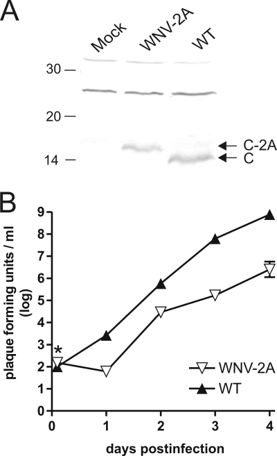 FIG. 7.