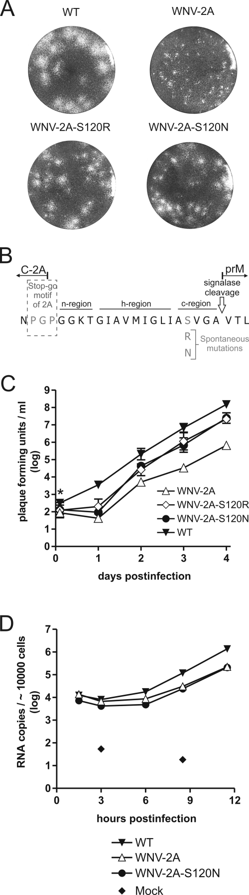 FIG. 8.