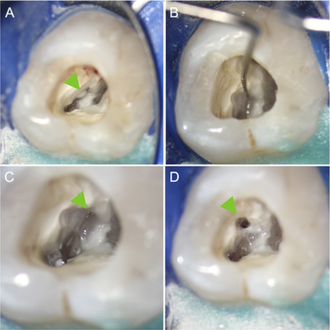 Figure 3.