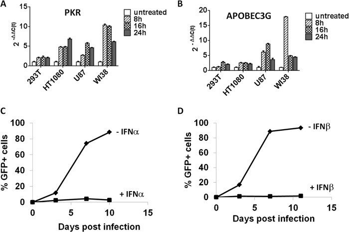 FIG 2