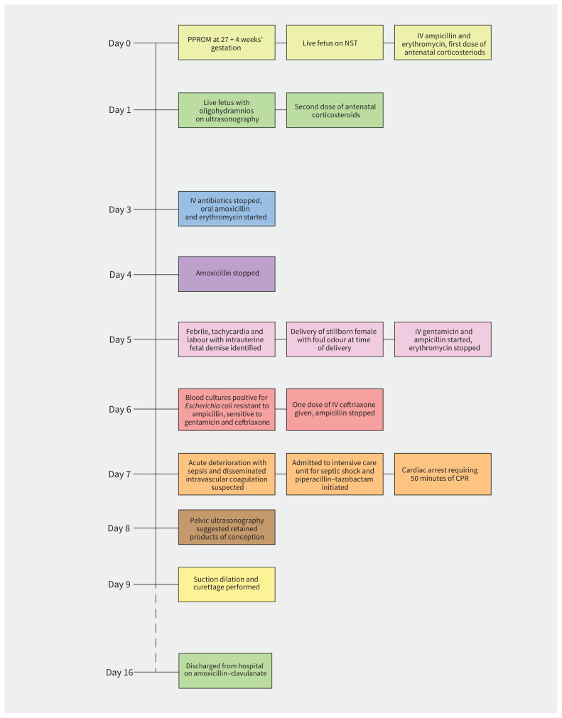 Figure 1: