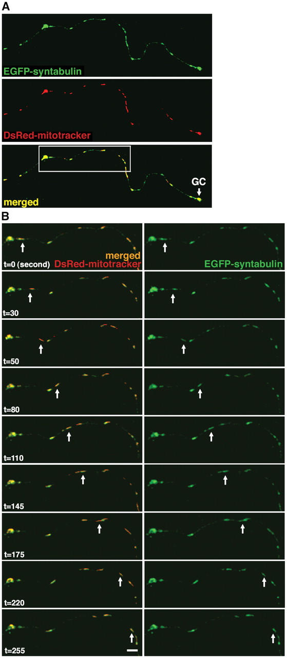 Figure 2.