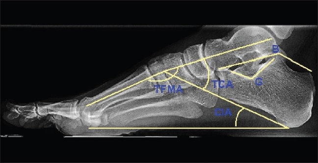 Figure 7