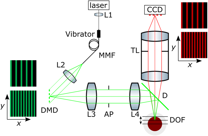 Fig. 1.