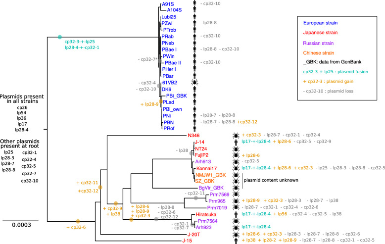 Fig. 4