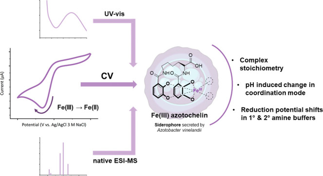 graphic file with name ic2c02777_0010.jpg