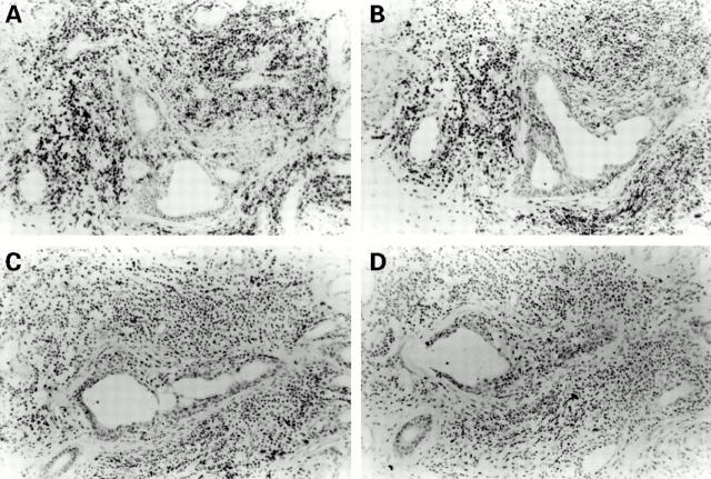 Figure 1  