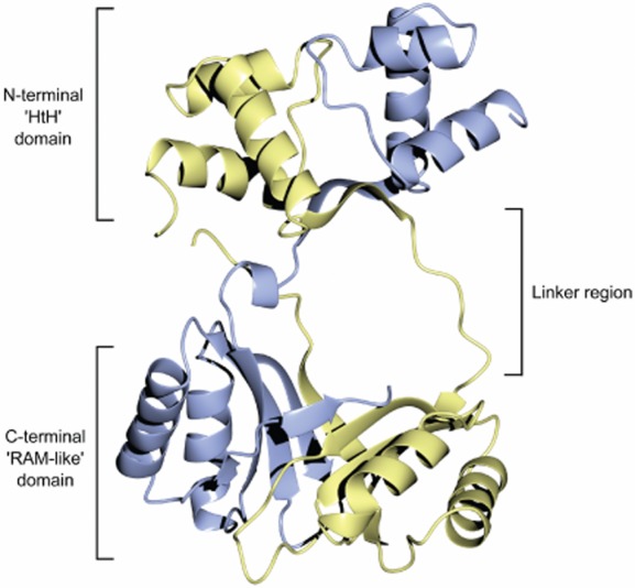 Fig. 7