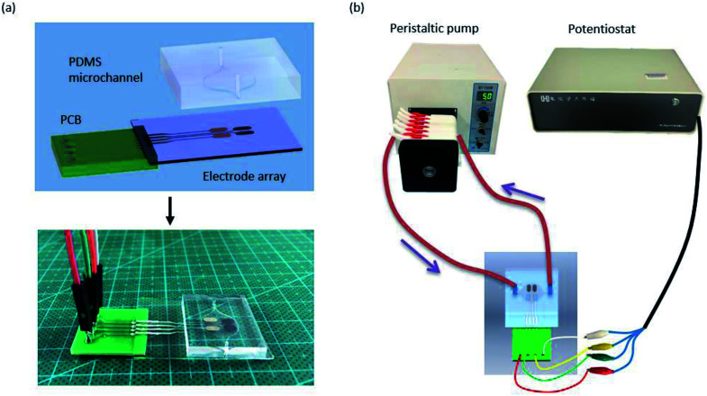 Fig. 3