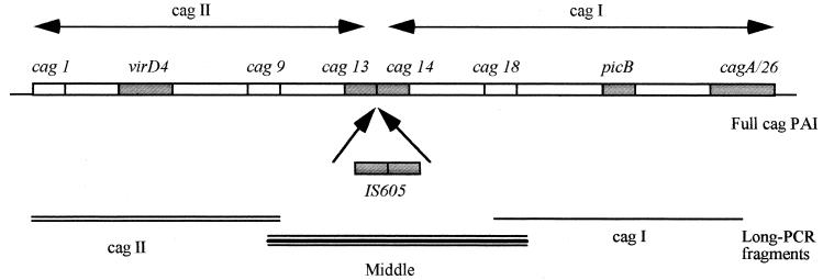 FIG. 1