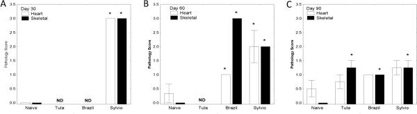 FIGURE 4