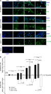 FIG 4