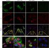 FIG 6