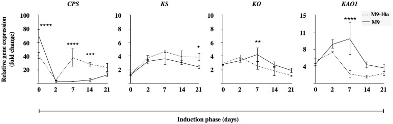 Fig 6