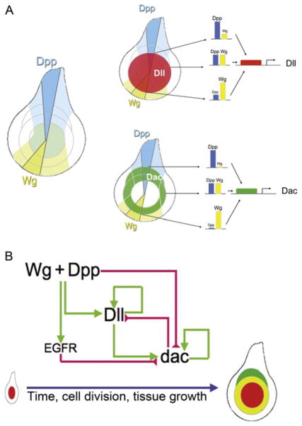 Figure 7.5