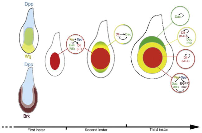 Figure 7.6