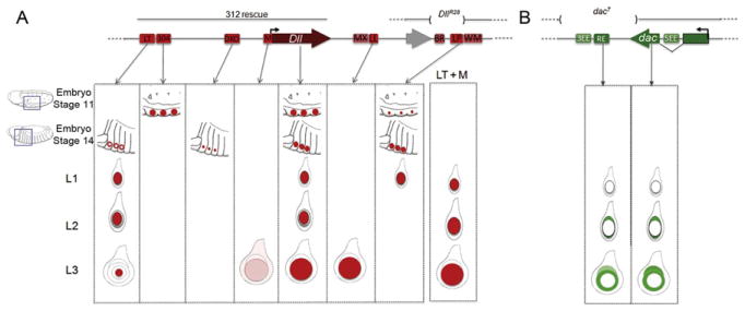 Figure 7.3