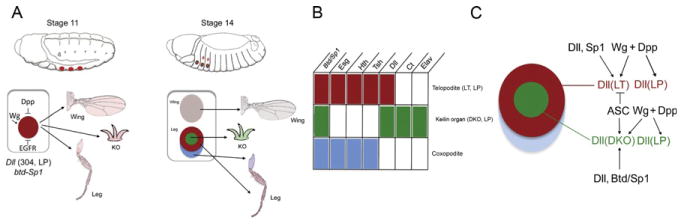 Figure 7.4