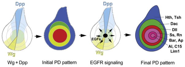 Figure 7.7