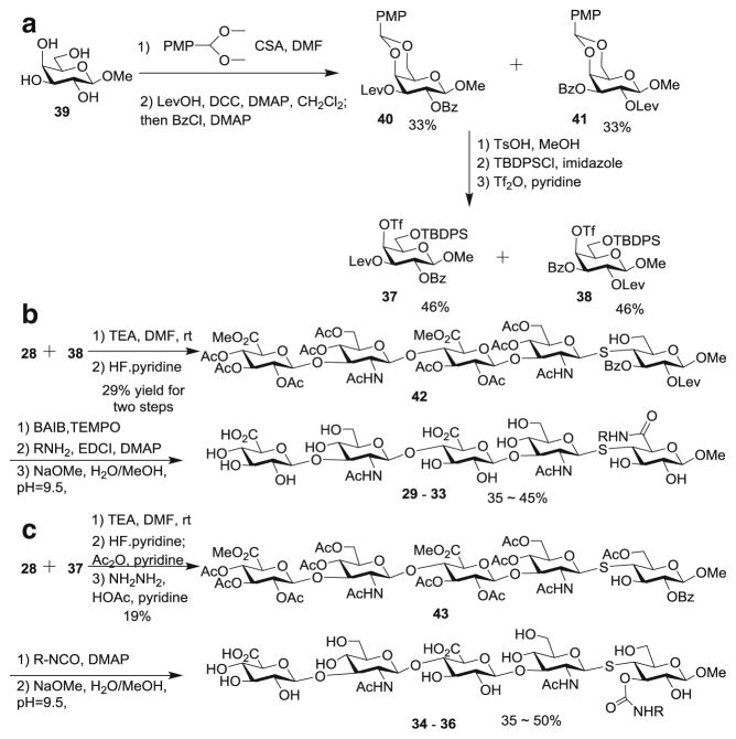 Scheme 6