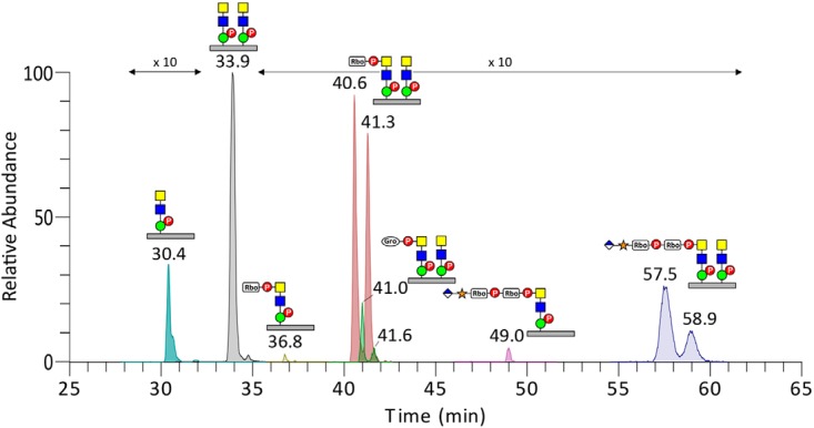 Fig. 4.