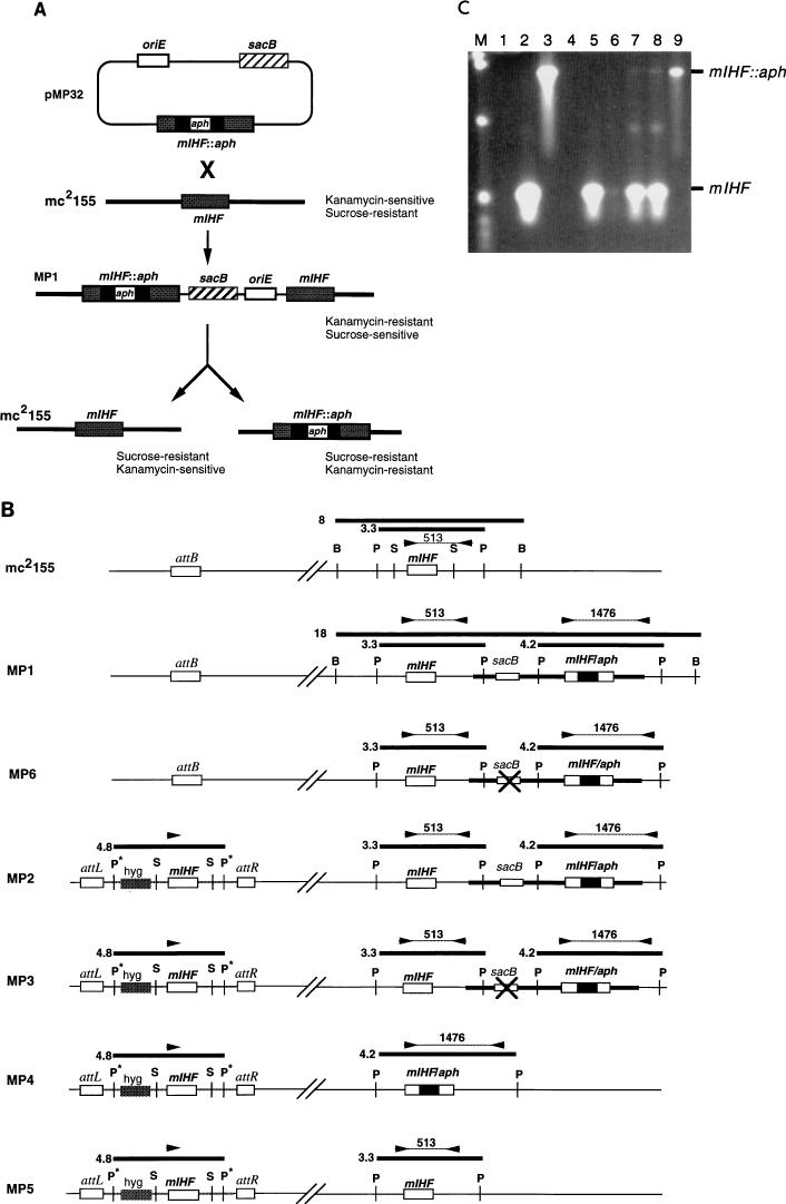 FIG. 3