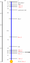 Fig. 4