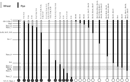 Fig. 2