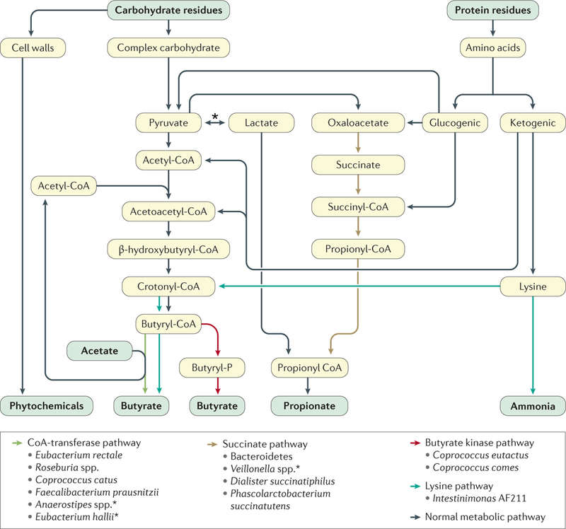 Figure 3 |