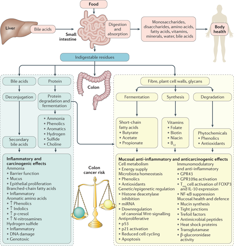 Figure 2 |