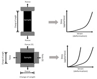 graphic file with name bioengineering-07-00122-i001.jpg