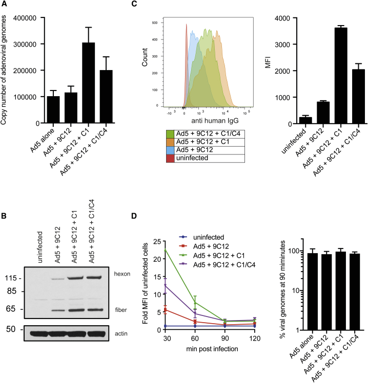 Figure 3