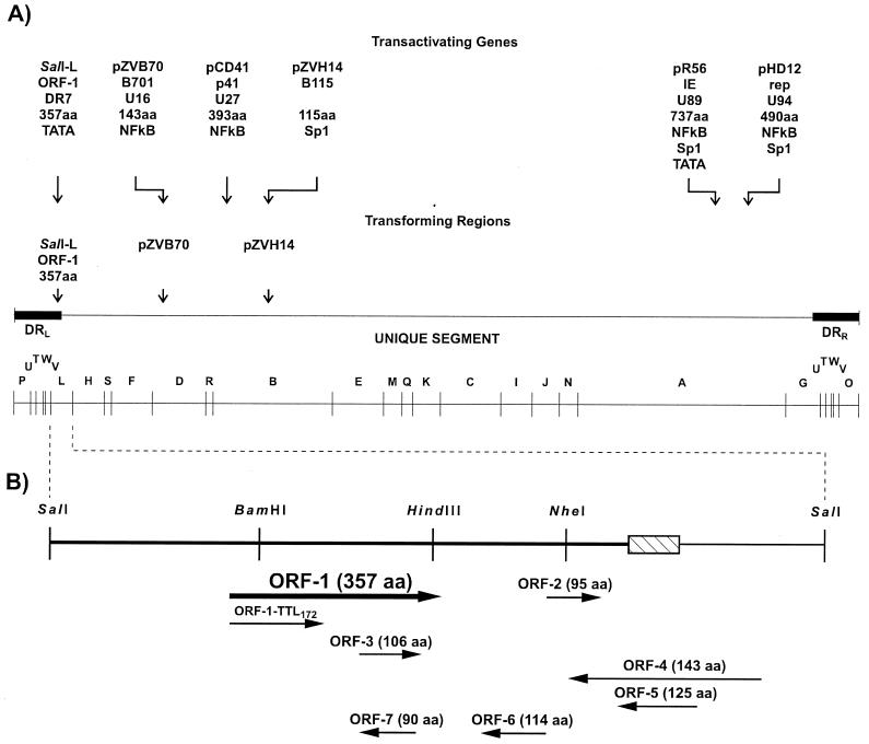 FIG. 5