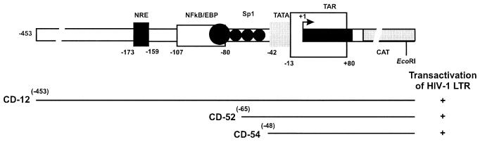 FIG. 7