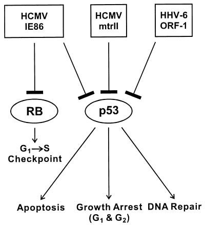 FIG. 8