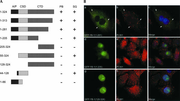 FIGURE 3.